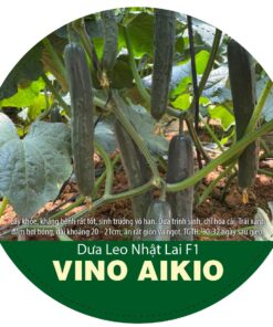 DƯA LEO NHẬT LAI F1 VINO AIKIO