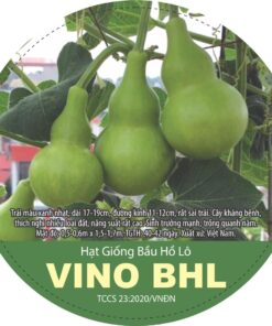 Hạt Giống Bầu Hồ Lô VINO BHL