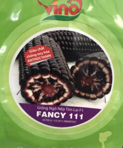 BẮP NẾP TÍM LAI F1 FANCY 111