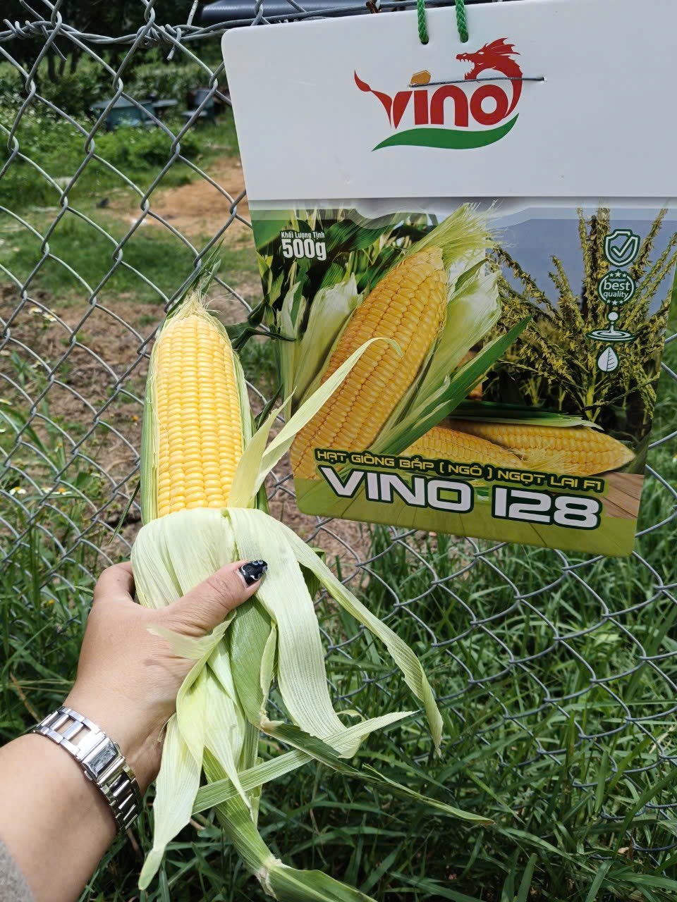 img0488-8952