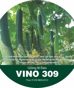 BÍ ĐAO VINO 309