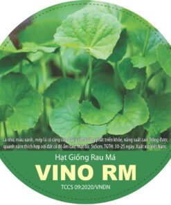 HẠT GIỐNG RAU MÁ VINO RM