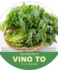 HẠT GIỐNG TẦN Ô VINO TO