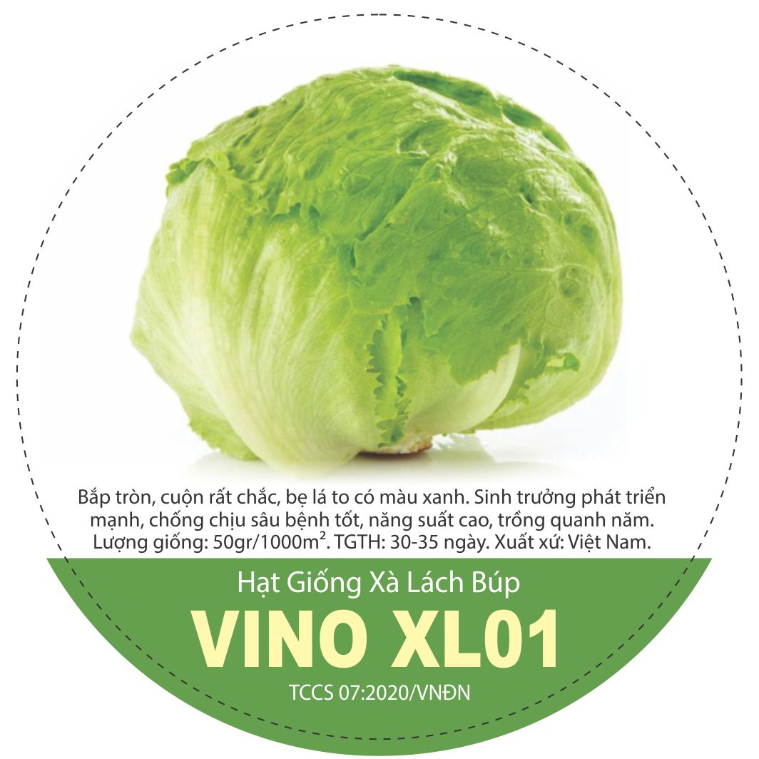 vino-xl01-1946