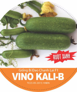 Bí Đao Chanh Lai F1 VINO KALI-B