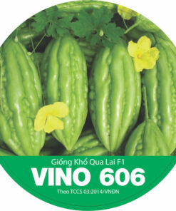 KHỔ QUA LAI F1 VINO 606
