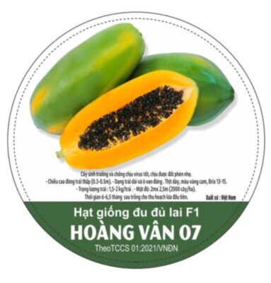 HẠT GIỐNG ĐU ĐỦ LAI F1 HOÀNG VÂN 07