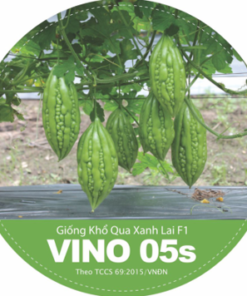 KHỔ QUA XANH LAI F1 VINO 05S
