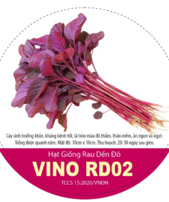 HẠT GIỐNG RAU DỀN ĐỎ VINO RD02
