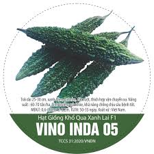 HẠT GIỐNG KHỔ QUA XANH LAI F1 VINO INDA 05