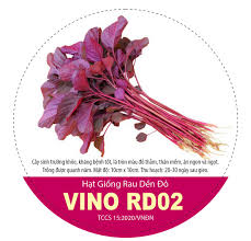 HẠT GIỐNG RAU DỀN ĐỎ VINO RD02