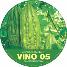 KHỔ QUA XANH LAI F1 VINO 05S