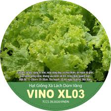 HẠT GIỐNG HÀNH LÁ VINO HL