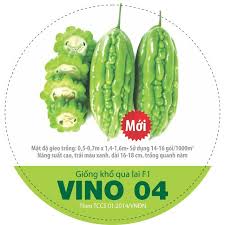 KHỔ QUA LAI F1 VINO 04