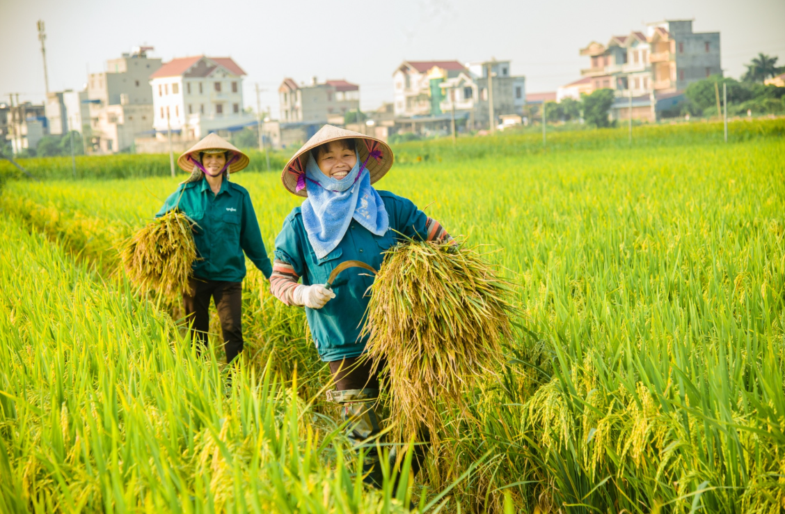 đồng hành cùng nhà nông