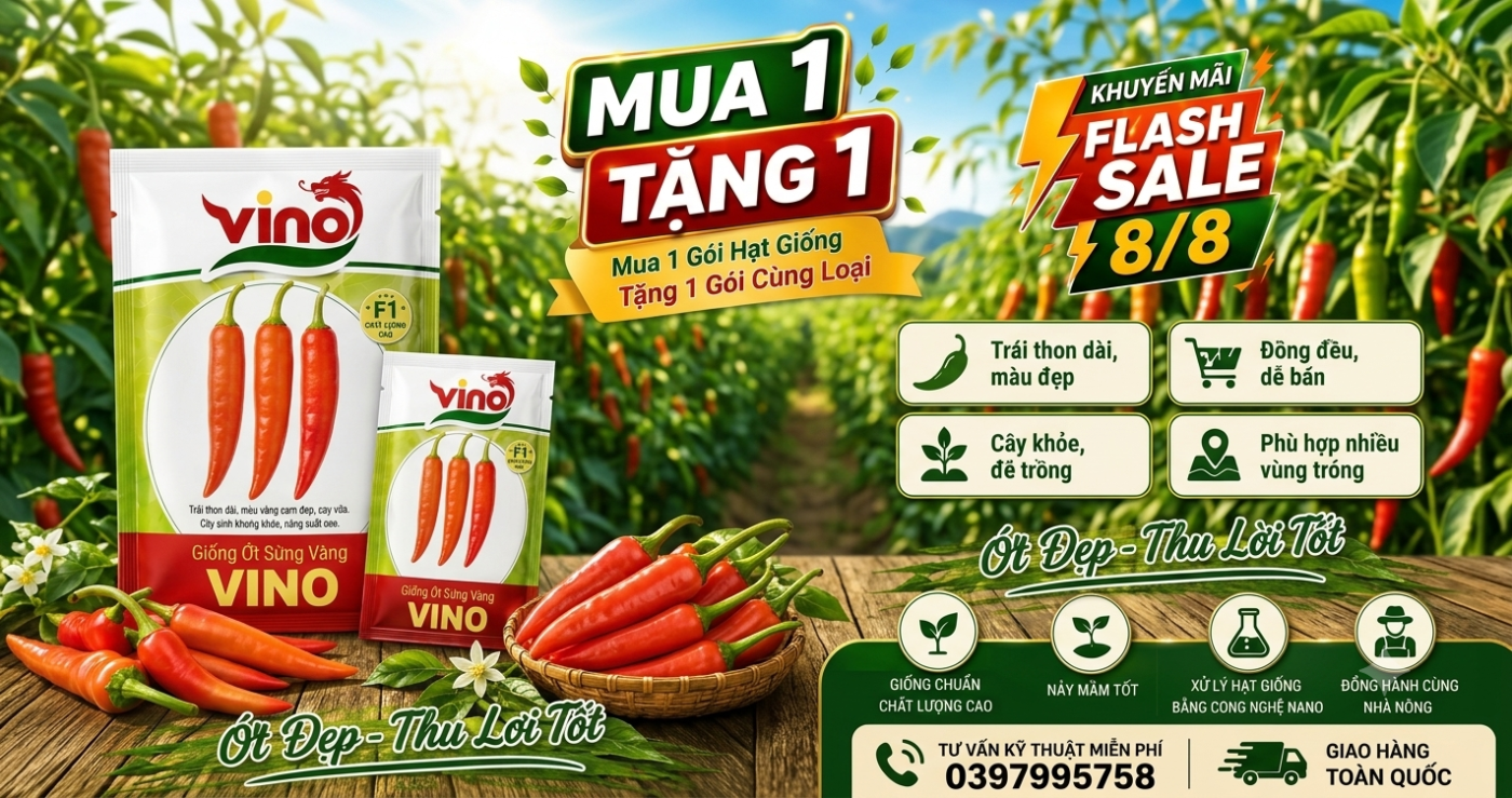 Flash Sale 8/8 giảm đến 50% hạt giống rau tại VINO