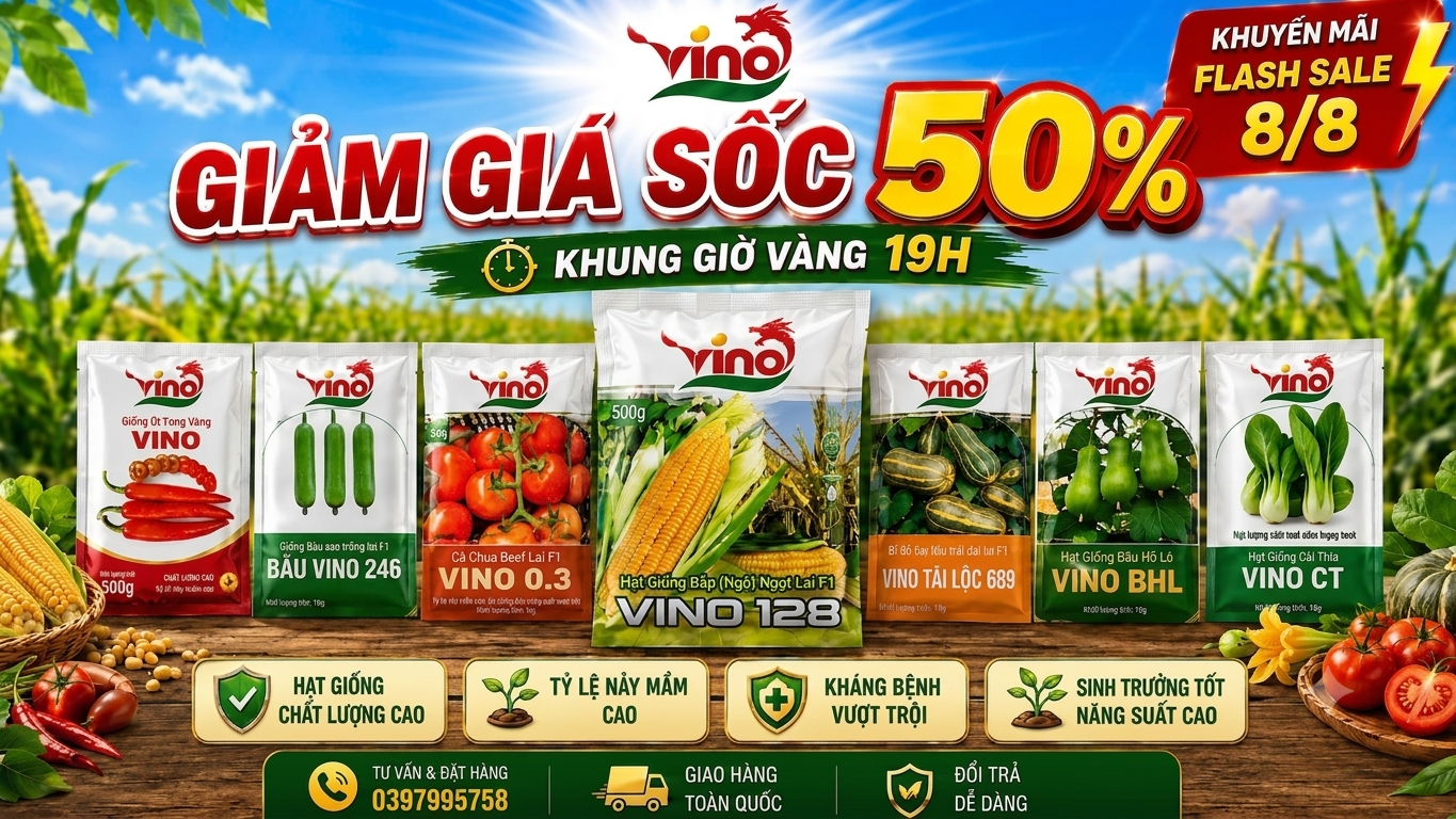 Flash Sale 8/8 giảm đến 50% hạt giống rau tại VINO