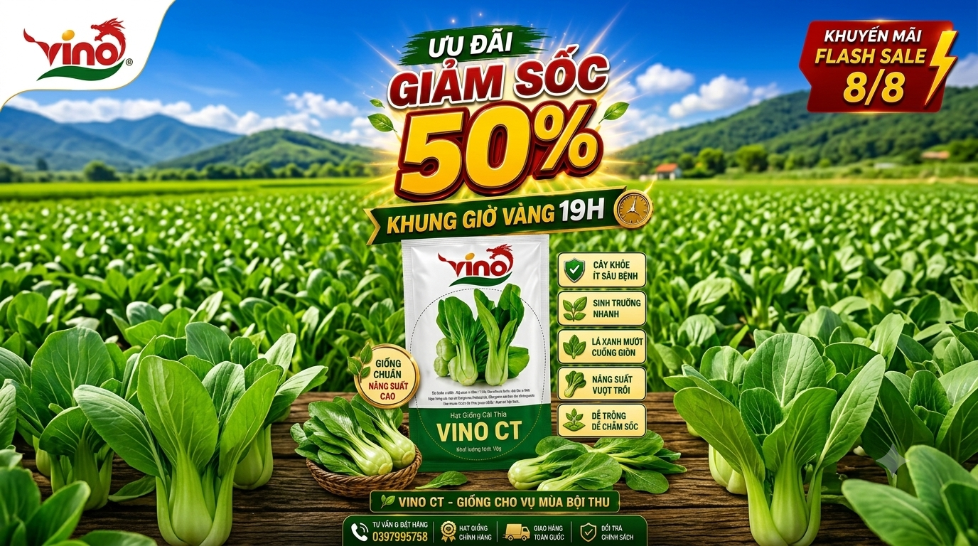 Flash Sale 8/8 giảm đến 50% hạt giống rau tại VINO